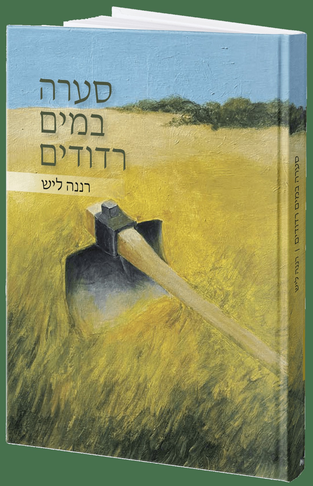 עטיפת סערה במים רדודים